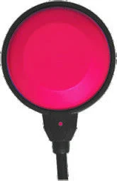 BDSP-101