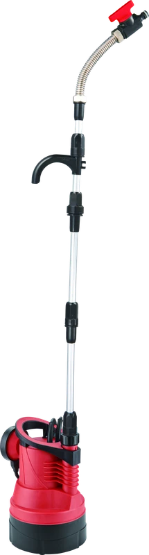 BRPX1